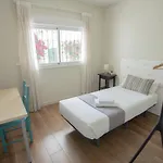 Bed and Breakfast Barbatuke Eco-homestel *