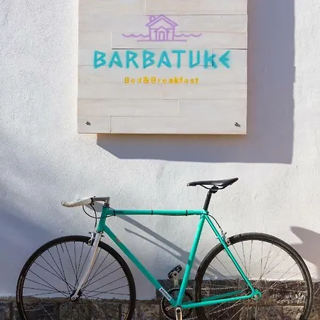 Bed and breakfast Barbatuke Eco-homestel *